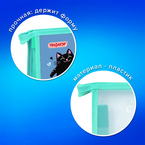 Папка на молнии с ручками ПИФАГОР А4, 1 отделение, пластик, ручки-шнурок, "Funny cats", 273353