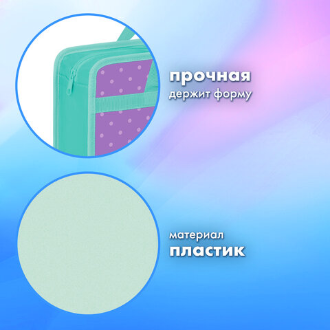 Папка на молнии с ручками BRAUBERG А4, 1 отделение, пластик, 80 мм, "Funny kittens", 273368