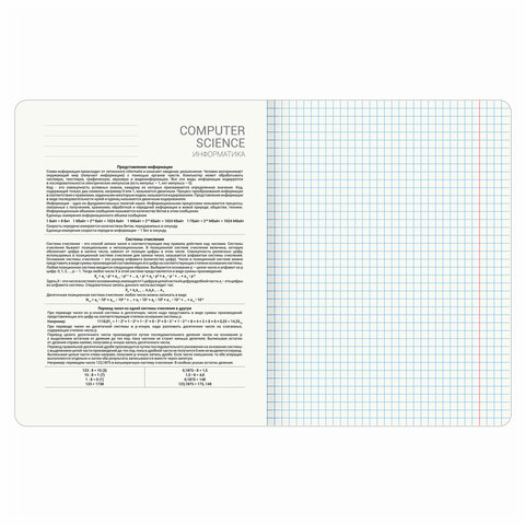Тетрадь предметная ANIME 48 л., глянцевый УФ-лак, ИНФОРМАТИКА, клетка, BRAUBERG, 404538
