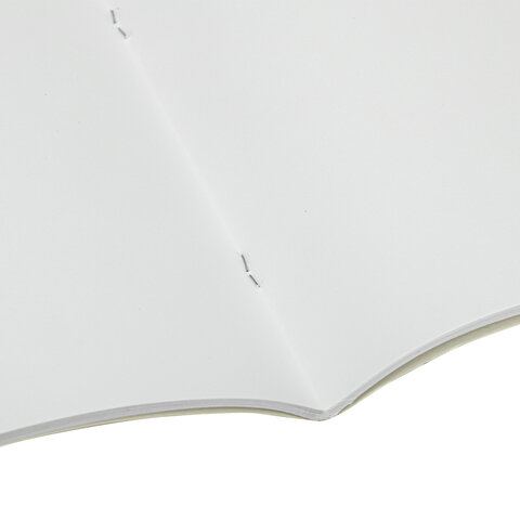 Альбом для рисования А4, 32 листа, скоба, обложка картон, BRAUBERG, 202х285 мм, "Краски" (1 вид), 105063