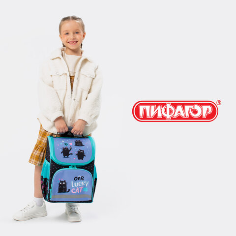 Ранец ПИФАГОР BASIC, 1 отделение, 3 кармана, эргономичная спинка, "Funny cats", 35х28х18 см, 273135
