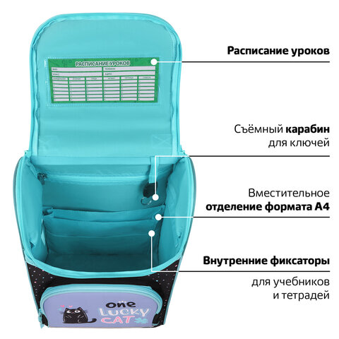 Ранец ПИФАГОР BASIC, 1 отделение, 3 кармана, эргономичная спинка, "Funny cats", 35х28х18 см, 273135