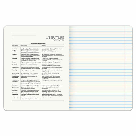 Тетрадь предметная PIGMENT 48 л., глянцевый УФ-лак, ЛИТЕРАТУРА, линия, подсказ, BRAUBERG, 404766