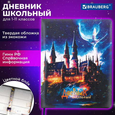 Дневник 1-11 класс 48 л., кожзам (твердая с поролоном), печать, цветной блок, BRAUBERG, "Замок", 106953