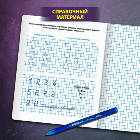 Тетрадь ПРОПИСЬ № 6 12 л. клетка, со справочным материалом, обложка картон, ЮНЛАНДИЯ, 404849