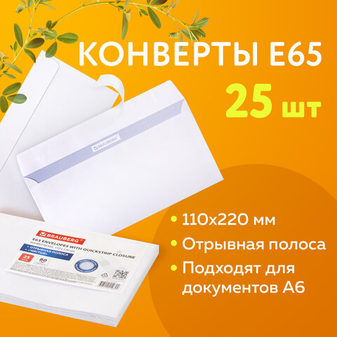 Конверты Е65 (110х220 мм), отрывная лента, 80 г/м2, КОМПЛЕКТ 25 шт., внутренняя запечатка, BRAUBERG, 122449