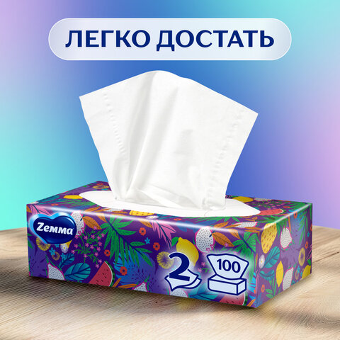 Салфетки косметические 100 штук в картонном боксе, 2-слойные, ZEMMA/ZEWA Everyday, 62861