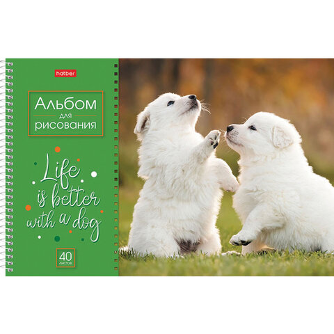 Альбом для рисования А4 40 л., спираль, обложка картон, HATBER, 205х290 мм, "Doggie-Щенки" (4 вида), 067478, 40А4Всп