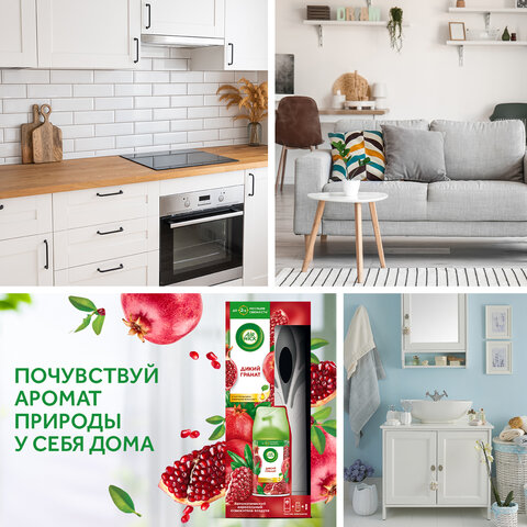 Освежитель воздуха автоматический со сменным баллоном 250 мл, AIRWICK,"Дикий гранат", 3145222