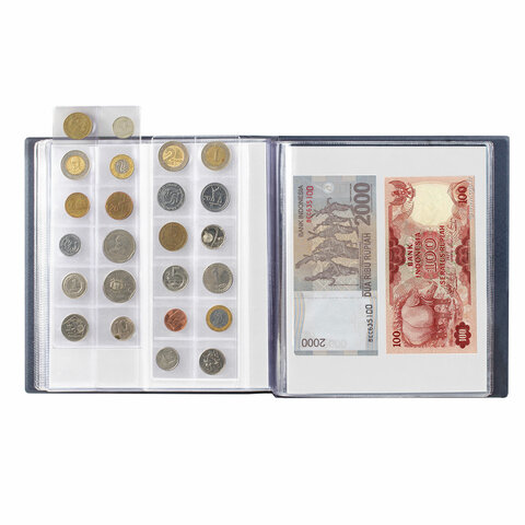 Альбом для монет и купюр на винтах универсальный, 224х224 мм, на 216 монет до D-45 мм, выдвижные карманы, синий, "ДПС", 2855-201