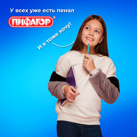 Пенал ПИФАГОР, 1 отделение, полиэстер, 19х13 см, "Leapfrog", 273472