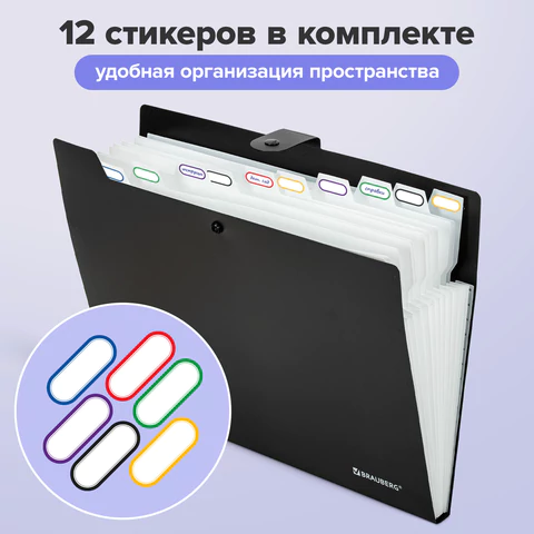Папка-органайзер на кнопке 12 отделений, BRAUBERG "Extra", А4, черная с белым, 271930