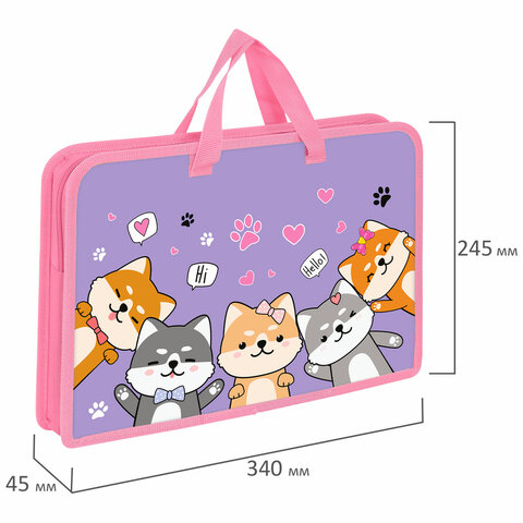 Папка на молнии с ручками ЮНЛАНДИЯ А4, 1 отделение, пластик, ширина 45 мм, "Best fellows", 273356