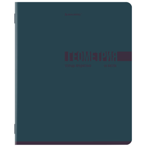 Тетради предметные, КОМПЛЕКТ 12 ПРЕДМЕТОВ, 48 л., обложка картон, BRAUBERG "VIBE", 405163