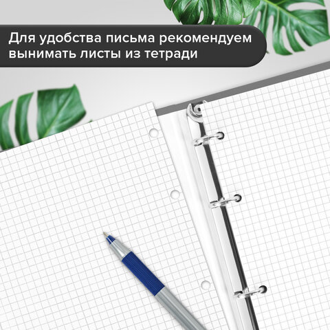 Тетрадь на кольцах А5 165х215 мм, 120 листов, твердый картон, клетка, BRAUBERG, "Anime Girl", 404711