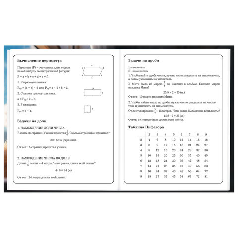 Дневник 1-4 класс 48 л., твердый, BRAUBERG, глянцевая ламинация, с подсказом, "Котик", 107156