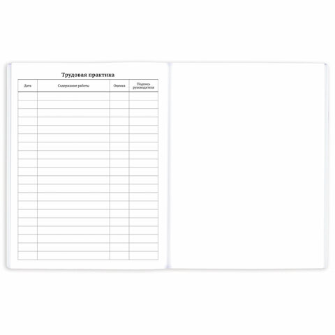 Дневник 1-11 класс 40 л., на скобе, ПИФАГОР, обложка картон, МИКС "Девочки", 107137