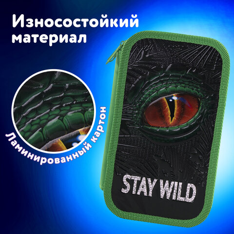 Пенал ЮНЛАНДИЯ, 2 отделение, ламинированный картон, 19х11 см, "Stay wild", 270889