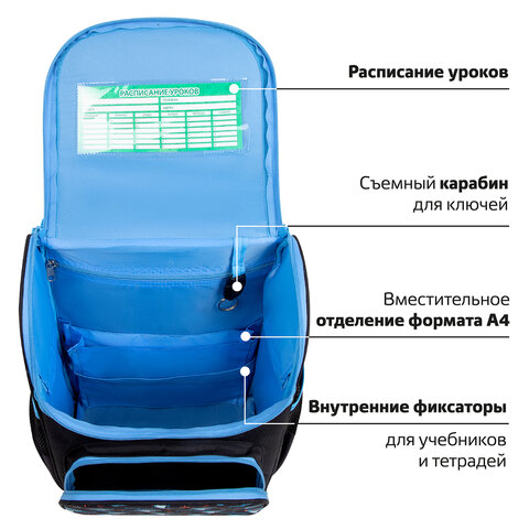 Ранец ПИФАГОР BASIC, 1 отделение, 3 кармана, эргономичная спинка, "Angry shark", 35х28х18 см, 272044