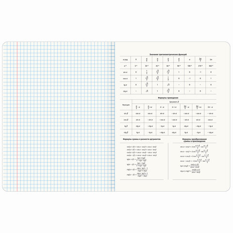 Тетради предметные со справочным материалом, КОМПЛЕКТ 10 ПРЕДМЕТОВ, 48 л., SoftTouch, фольга, BRAUBERG, "PASTEL", 404031