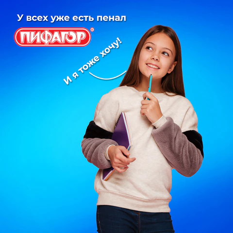 Пенал ПИФАГОР, 2 отделения, ламинированный картон, 19х11 см, "Funny cats", 273481