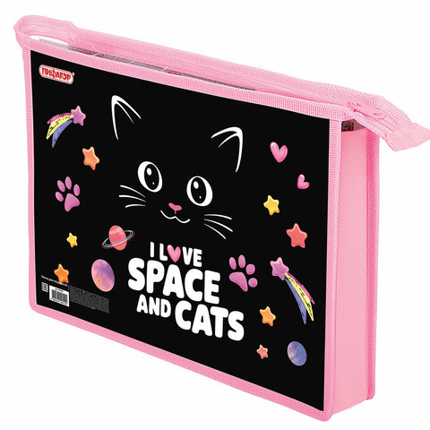 Папка для тетрадей ПИФАГОР А4, 1 отделение, картон/пластик, на молнии, "Dark kitten", 273339