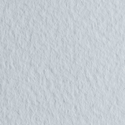 Бумага для пастели (1 лист) FABRIANO Tiziano А2+ (500х650 мм), 160 г/м2, серый светлый, 52551026