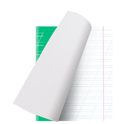Тетрадь 12 л. BRAUBERG ЭКО "5-КА", косая линия, обложка картон 170 г/м2, ЗЕЛЕНАЯ, 104762