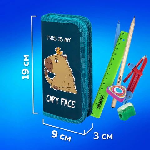 Пенал ПИФАГОР, 1 отделение, ламинированный картон, 19х9 см, "Capy face", 272245