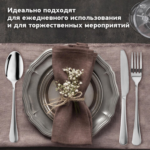 Набор столовых приборов PREMIUM 24 шт., 6 персон, серебристый, нержавеющая сталь, DASWERK (ДАСВЕРК), 609073