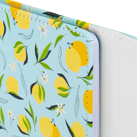 Дневник 1-11 класс 48 л., кожзам (твердая), магнитный клапан, ЮНЛАНДИЯ, "Котик", 106562