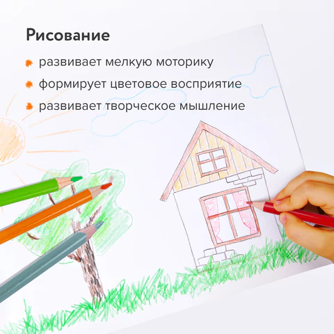 Карандаши цветные BRAUBERG PREMIUM, 24 цвета, шестигранные, грифель 3,3 мм, натуральное дерево, 181658
