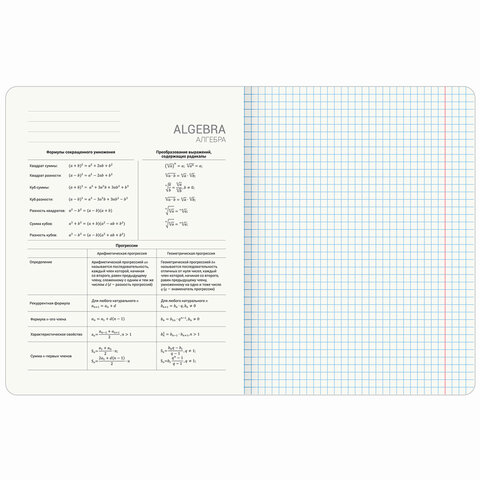 Тетради предметные, КОМПЛЕКТ 12 ПРЕДМЕТОВ, 48 л., TWIN лак, BRAUBERG "МЕМЫ", 405172