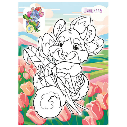 Раскраска с заданиями "Для мальчиков и девочек" с цветным фоном, А4, 16 стр., 21х29 см, АССОРТИ, ЛиС