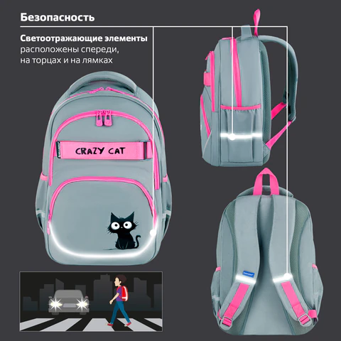 Рюкзак BRAUBERG MOTION, 2 отделения, 3 кармана, "Crazy cat", 41х28х17 см, 273115