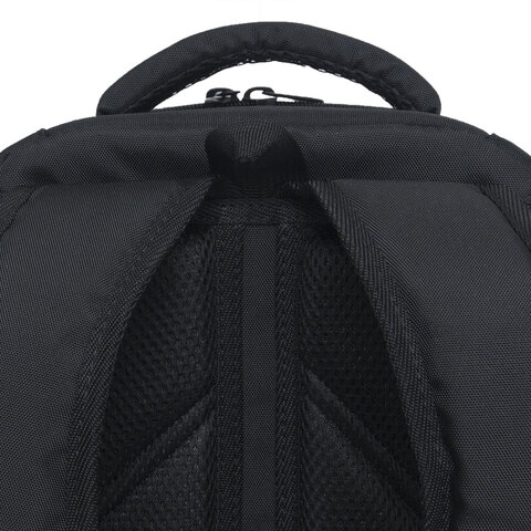 Ранец GRIZZLY анатомическая спинка, облегченный, 1 отделение, для девочек, "UNIQUE", 37х26х16 см, RAw-496-1/2