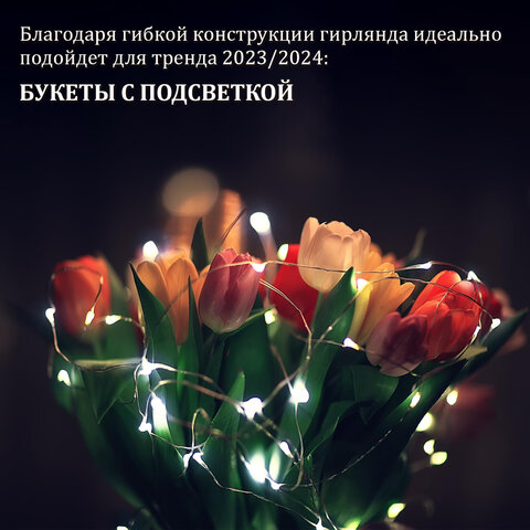 Электрогирлянда-нить комнатная "Роса" 2 м, 20 LED, холодный белый свет, на батарейках, ЗОЛОТАЯ СКАЗКА, 591932