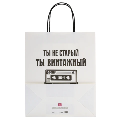 Пакет подарочный (1 штука) 26х13х32 см (L) "Funny Notes", ассорти, крафт, ЗОЛОТАЯ СКАЗКА, 700824