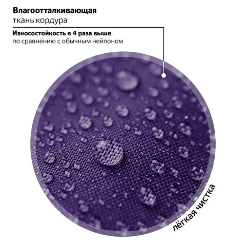 Ранец BRAUBERG PREMIUM, 2 отделения, с брелоком, "Paw prints", велюровая панель, 38х29х16 см, 273098