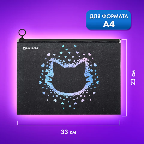 Папка для тетрадей BRAUBERG А4, 1 отделение, пластик, на zip-lock молнии, "Pretty face", 273319