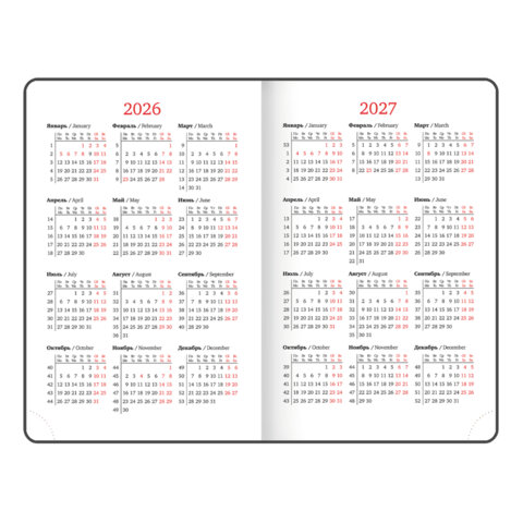 Ежедневник датированный 2026, МАЛЫЙ ФОРМАТ 100х150 мм, А6, BRAUBERG "Select", балакрон, черный, 117260