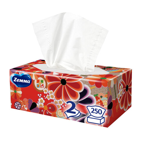 Салфетки косметические 2-слойные в картонном коробе, 250 штук, ZEMMA/ZEWA Everyday, 86791