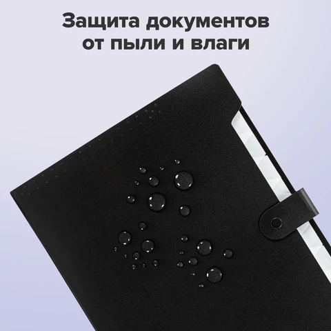 Папка-органайзер на кнопке 12 отделений, BRAUBERG "Extra", А4, черная с белым, 271930