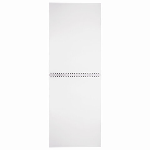 Скетчбук, белая бумага 100 г/м2, 205х290 мм, 50 л., гребень, жёсткая подложка, BRAUBERG ART DEBUT, 110983