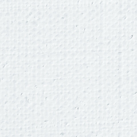 Холст на подрамнике BRAUBERG ART PREMIERE, 60х80см, грунтованный, 100% лен, среднее зерно, 190642