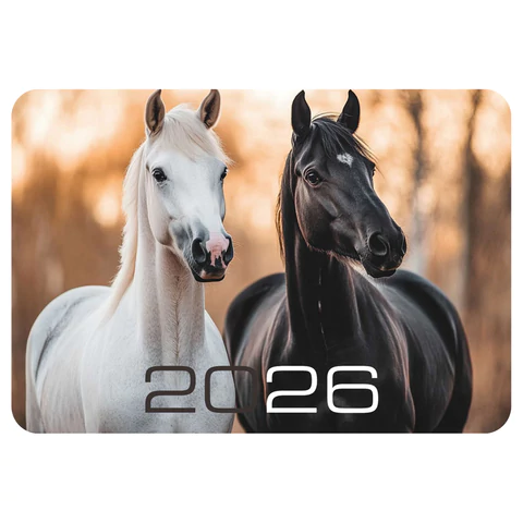 Календарь карманный на 2026 г, BRAUBERG, 64х93 мм, АССОРТИ №2, 20 видов, 117304
