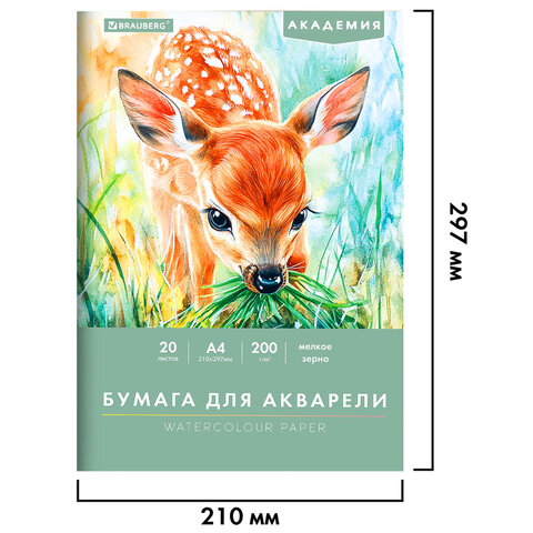 Папка для акварели А4, 210х297 мм, 20 листов, 200 г/м2, BRAUBERG АКАДЕМИЯ (ДЭК), "Оленёнок", 117746