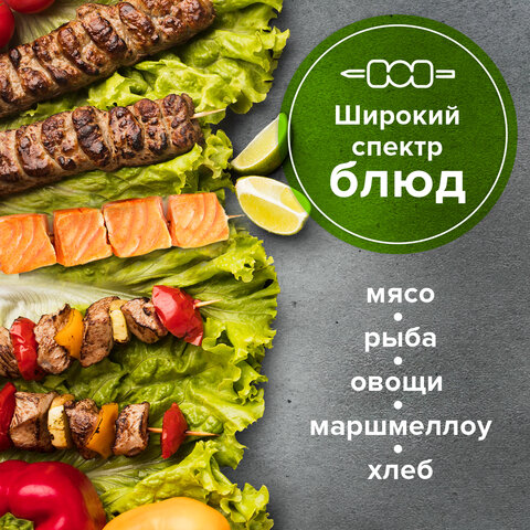 Шпажки-шампуры для шашлыка бамбуковые 200 мм, 100 штук, WELDAY (ВЭЛДЭЙ), 607570, 67