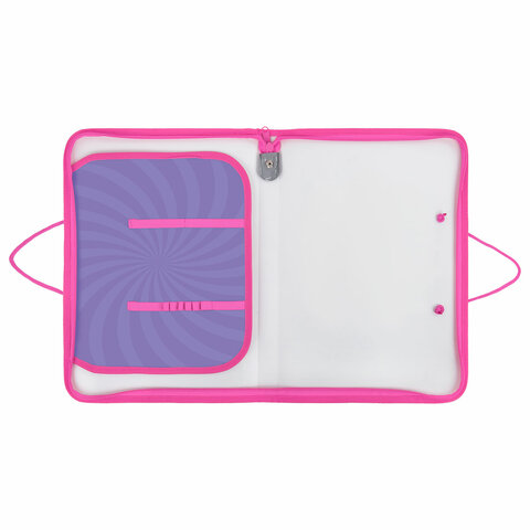 Папка для труда на молнии с ручками ПИФАГОР А4, 1 отделение, пластик, органайзер, "Anime eyes", 272228