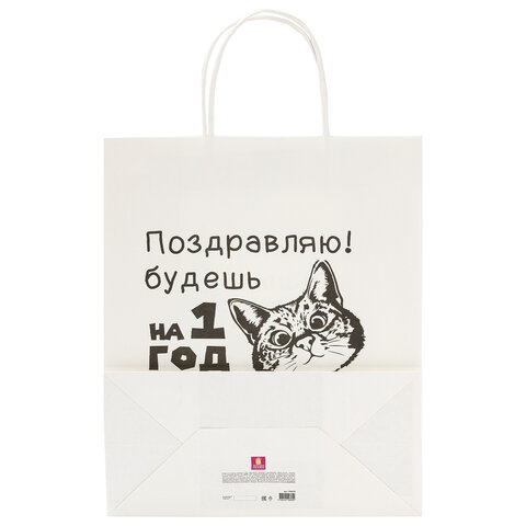 Пакет подарочный (1 штука) 26х13х32 см (L) "Funny Notes", ассорти, крафт, ЗОЛОТАЯ СКАЗКА, 700824